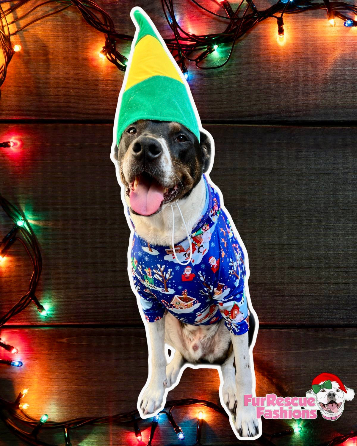 Candy Cane Forest - PAWjama with Red Neck & Trim/Sleeves