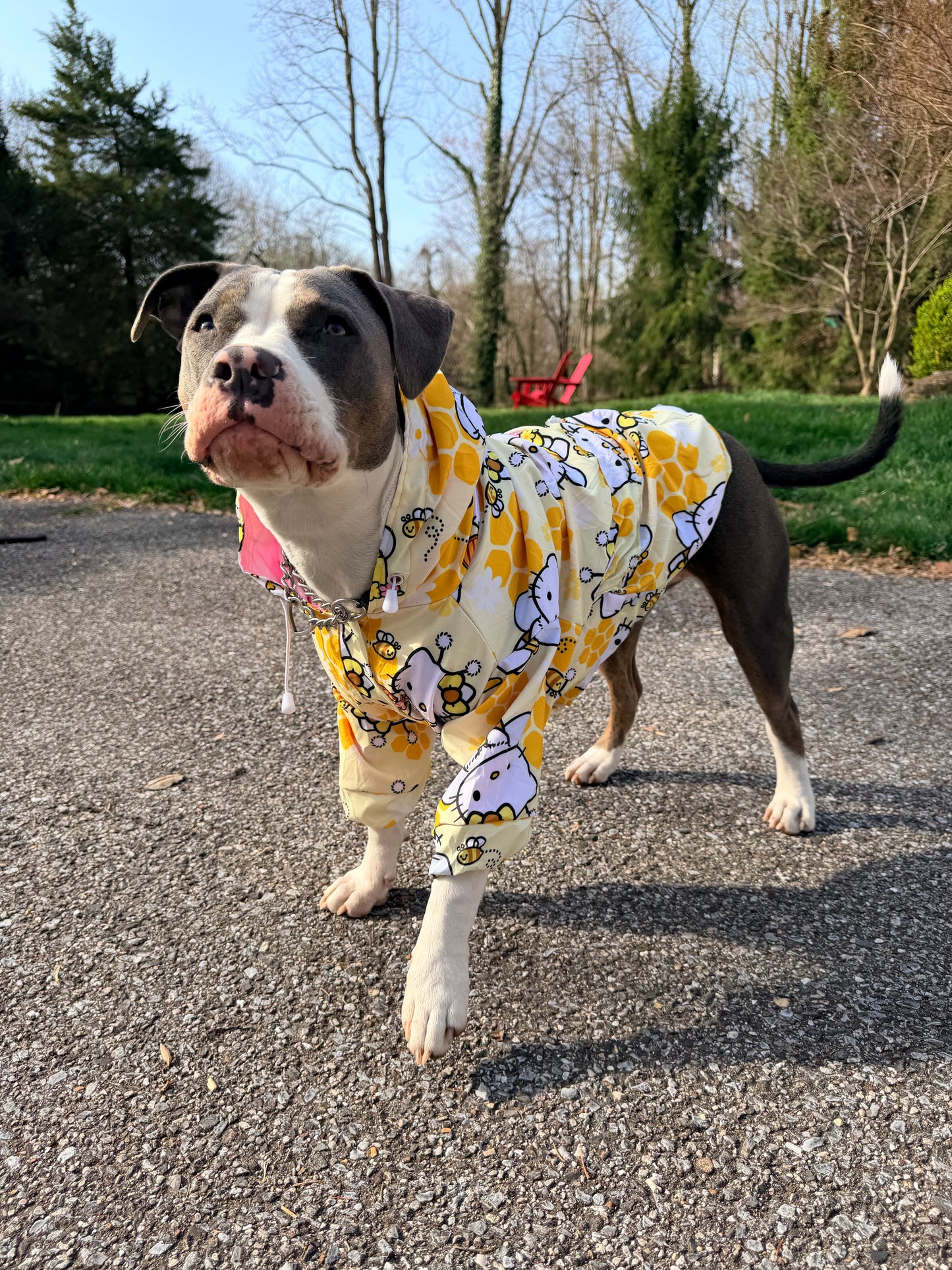 Hello Honey Kitty Rain Jacket - Cape - Vest
