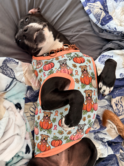 Orange You Glad We Wear Pink (Light Teal) - Dog Pajama with Orange Neck & Trim/Sleeves