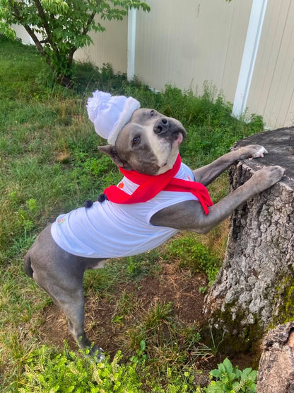 Frosty Smiles Dog Shirt