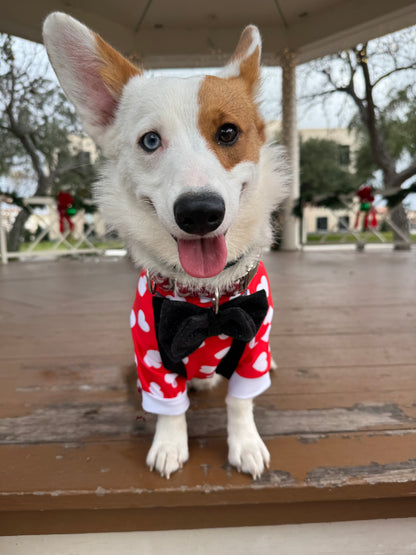 Classic Valentine Dog Pajama with White Neck & Trim/Sleeves