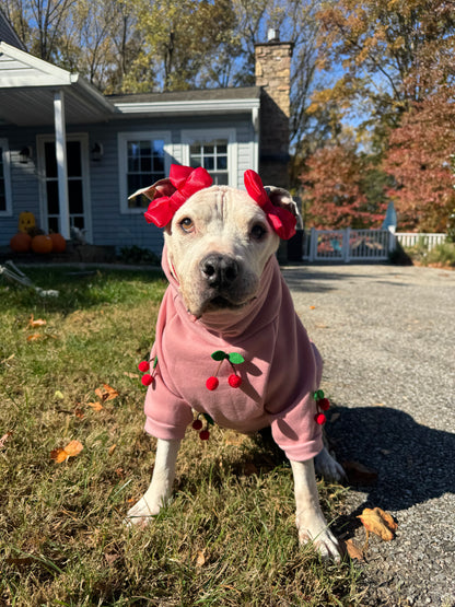 Cherry Love Dog Crewneck – Comfy Pink Sweatshirt with Cherries