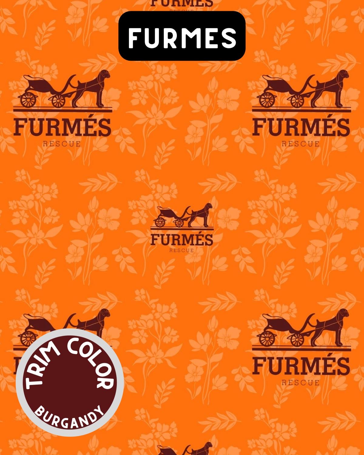 Furmes Dog Pajama with Brown Trim, Neck & Sleeves