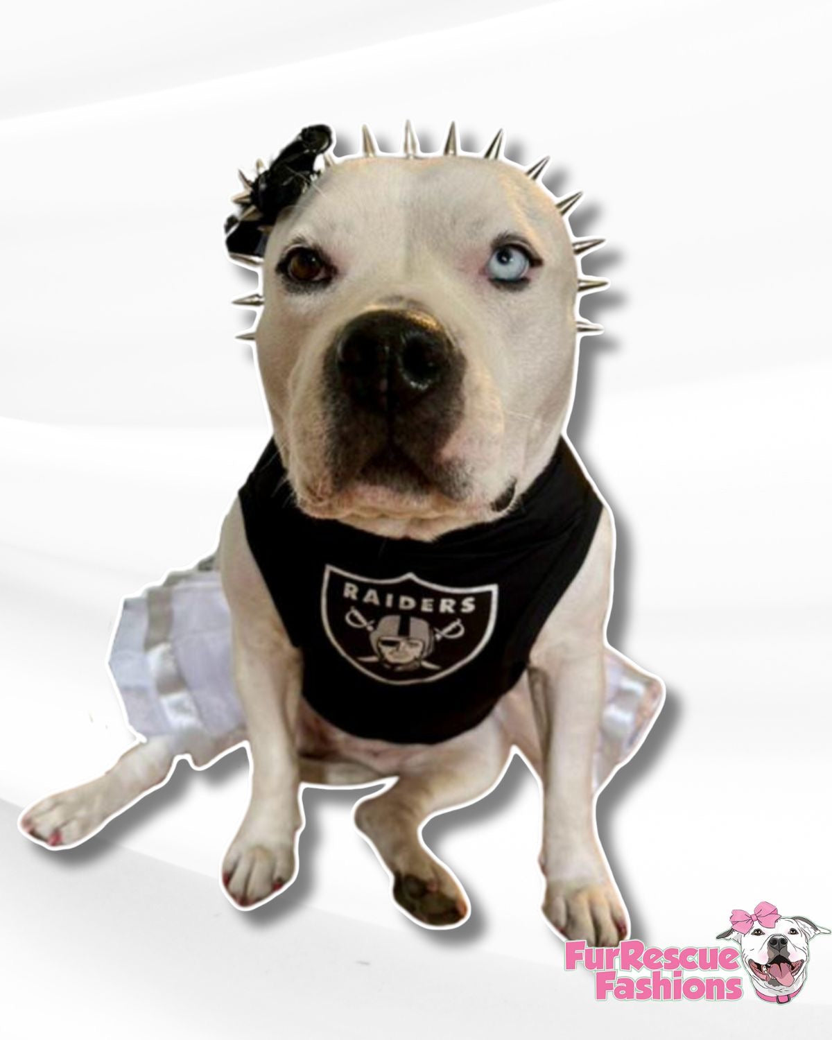 Custom Team Spirit Swag For Dogs & Humans