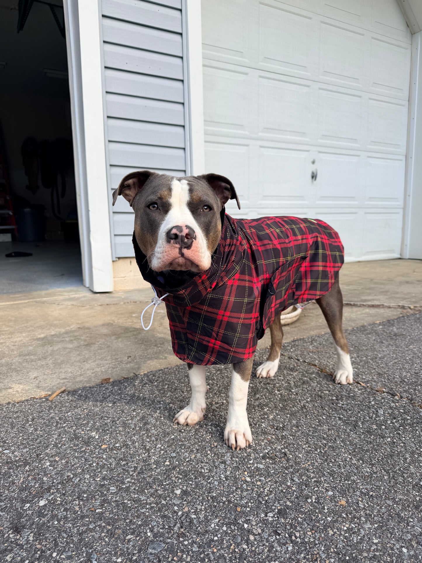 Scottish Plaid  Rain Jacket - Cape - Vest