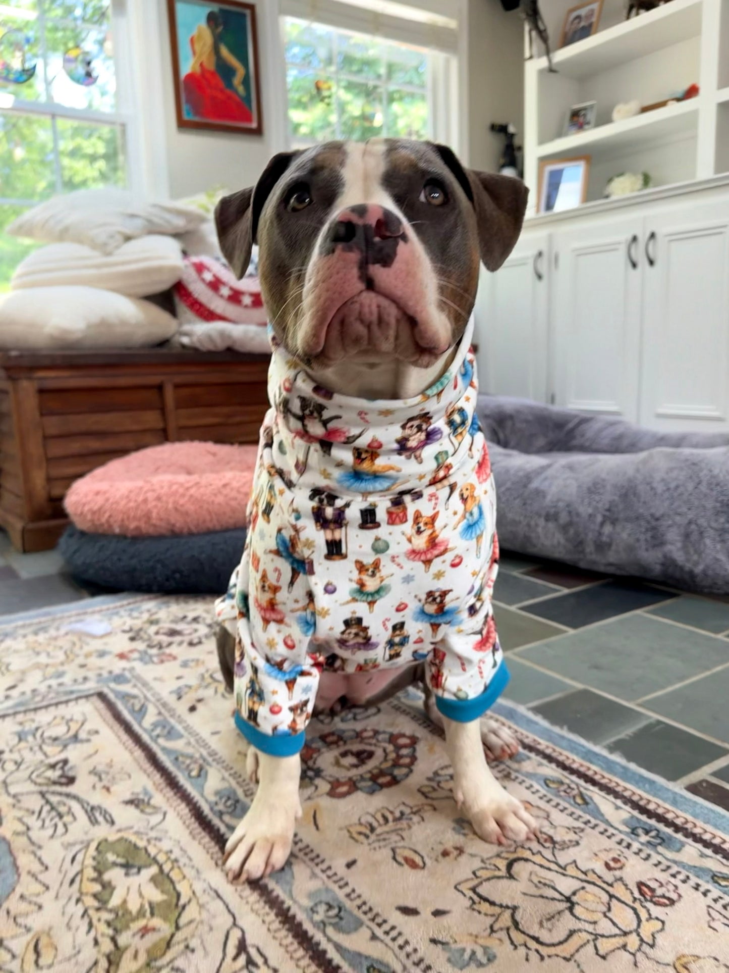 Nutcracker Ballet Dogs - Dog Pajama with Baby Blue or Pink Neck & Trim/Sleeves