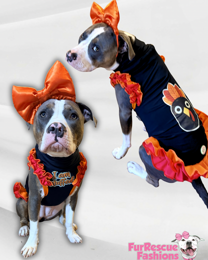I Am Stuffed Turkey Twirl Shirt with Ruffles