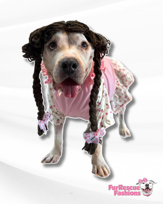 Raggedy Ruff Doll Dog Costume