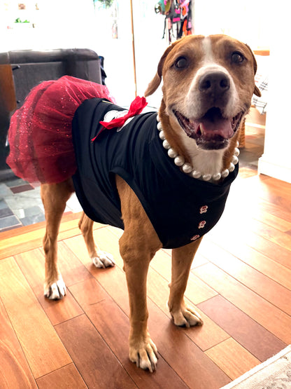 🏴‍☠️ Sassy Pawrate – Pirate Dog Tutu Dress