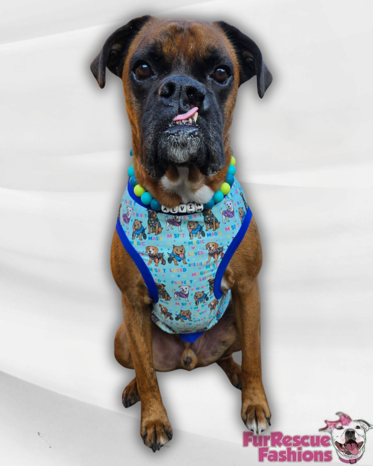 Magical Misfits Dog Pajama with Blue OR Pink Trim