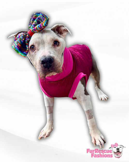 Sparkling Fuchsia Dog Shirt