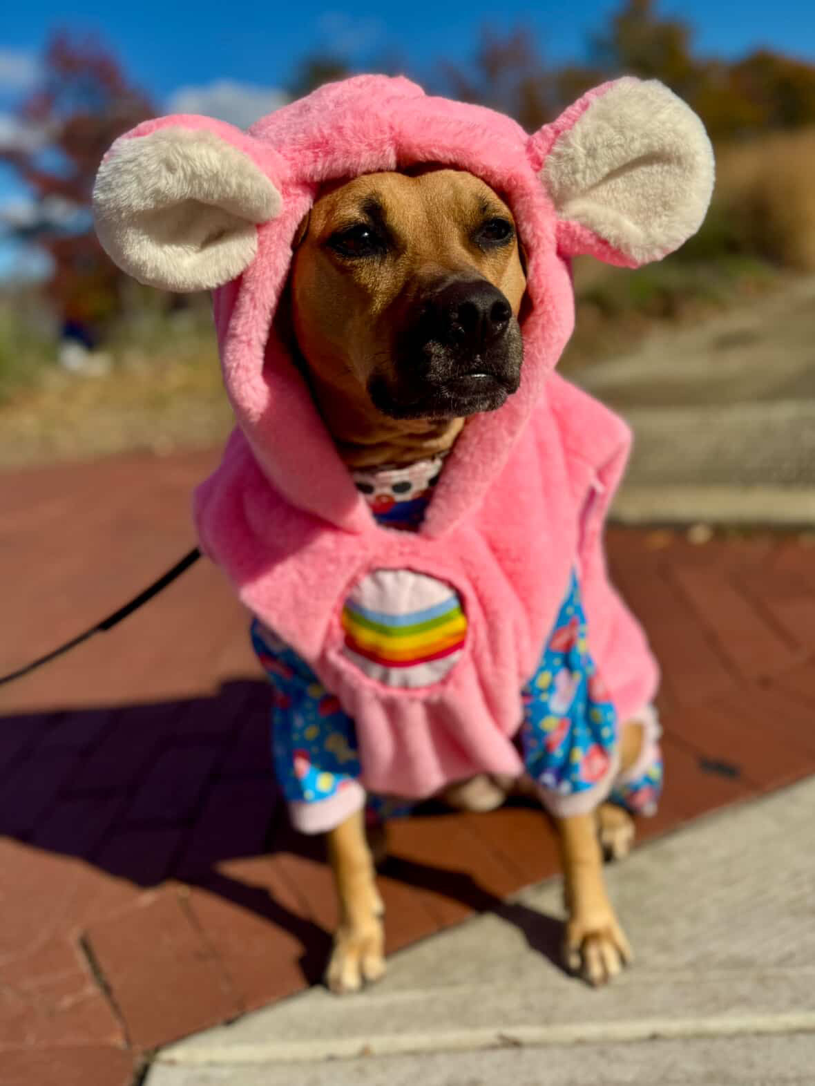 Cheer Bear Light-Up Dog Hoodie – Pink Fleece Care Bear Outfit with Ears, Tail & Rainbow Patch