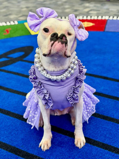 Lavender & Flowers Dog Dress With Ruffles