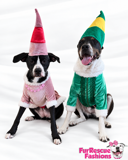 Buddy’s North Pole Couture Christmas Dog Outfit & Hat