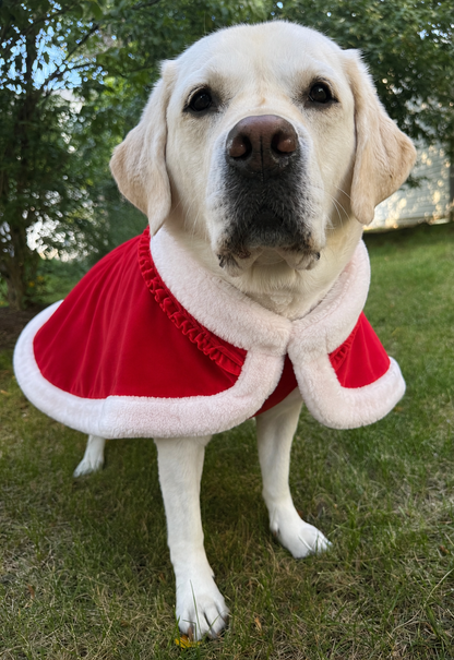 Holiday Velvet Sparkle Dress With Bow Headband And With or Without Cape