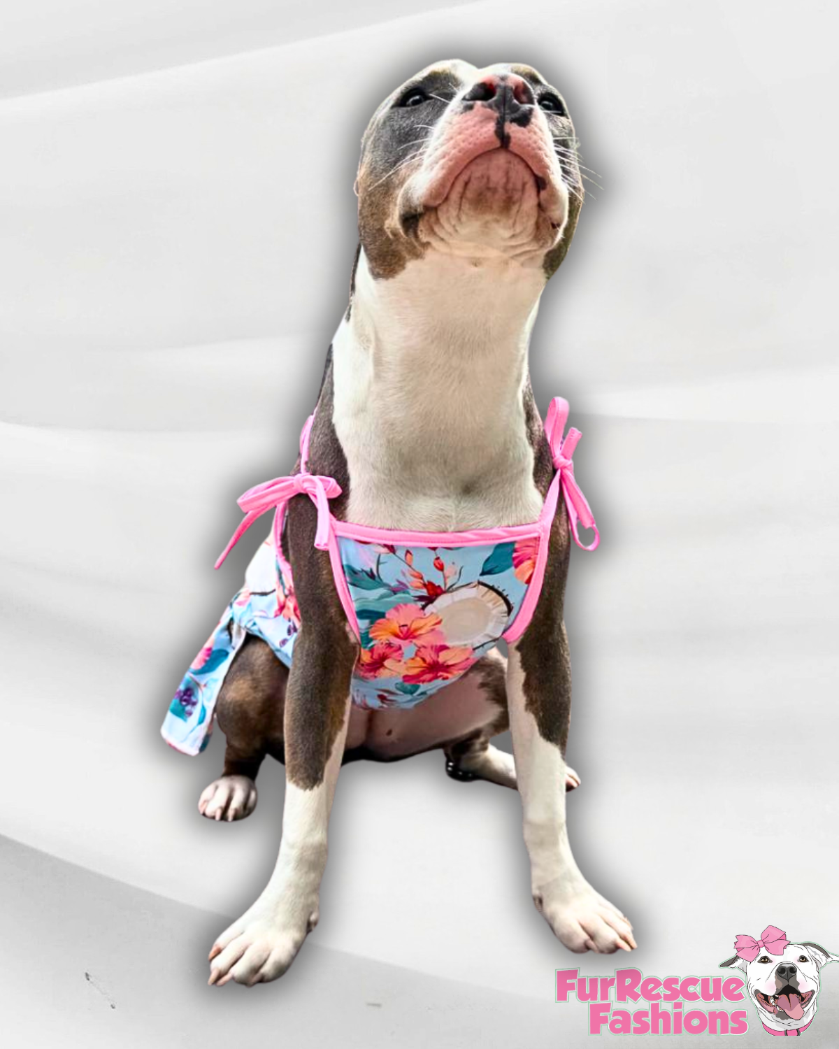 2026 Summer Strapped Dog Dress With Ruffle