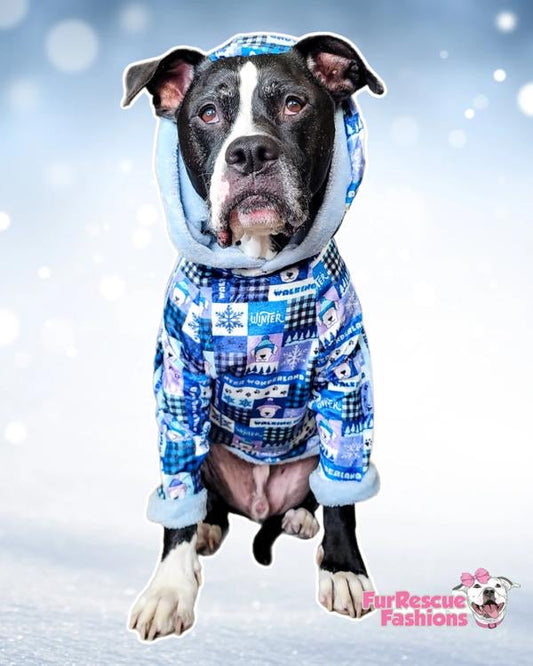 Winter Wonderland - PAWjama with Baby Blue Neck & Trim/Sleeves