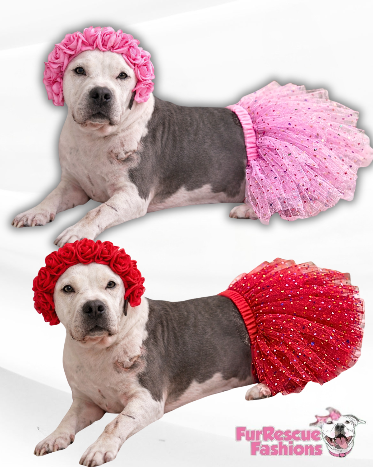 Sparkly Hearts Valentine Dog Tutu