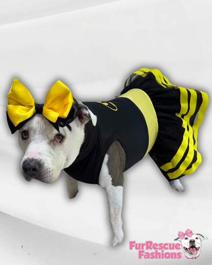 Batgirl PAWer Dog Dress & Headband