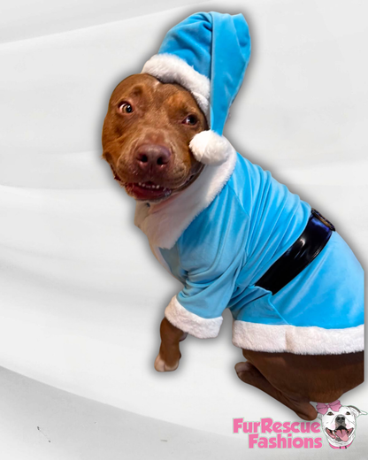 Winter Frost Santa Dog Coat