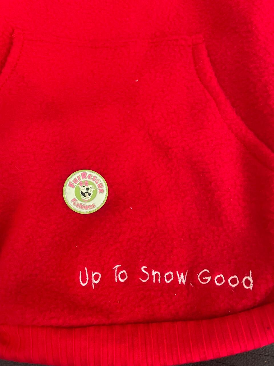 Rudolph Is Up To Snow Good Dog Hoodie