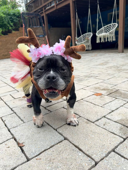 Woodland Reindeer Dog Tutu Dress & Antlers Headband