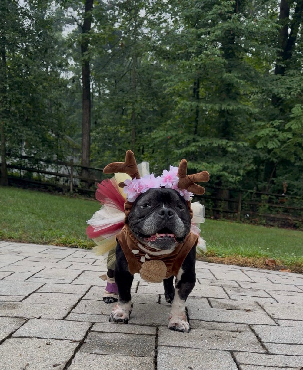 Woodland Reindeer Dog Tutu Dress & Antlers Headband