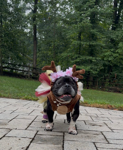Woodland Reindeer Dog Tutu Dress & Antlers Headband