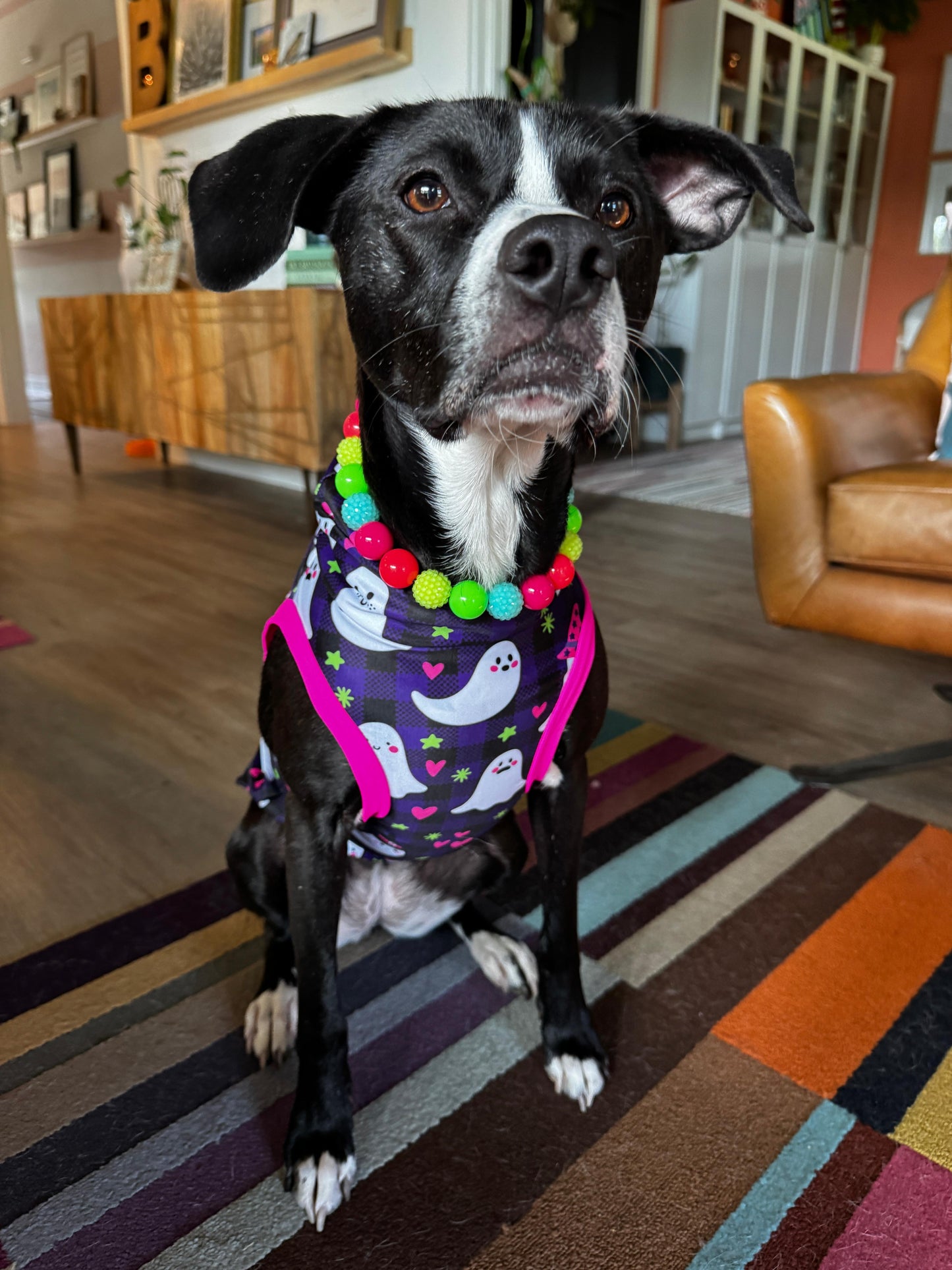Purple Plaid Ghosts - Dog Pajama with Hot Pink Neck & Trim/Sleeves