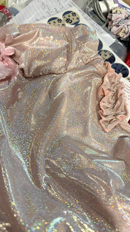 Sweet 16 Dog Gown (with long skirt)