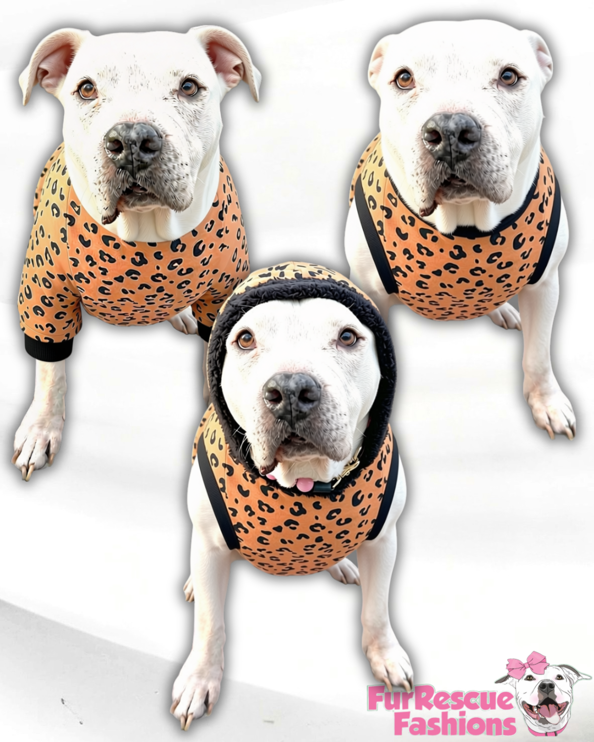 Wild Side Leopard Dog Shirt