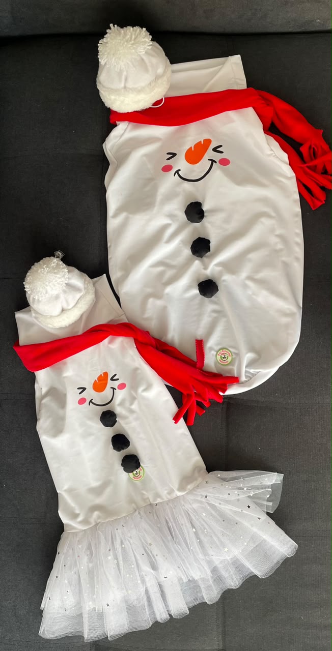 Frosty Smiles Dog Shirt