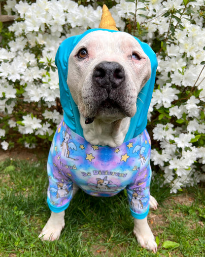 Pittiecorn Proud – Dog Pajama with Aqua Neck & Trim/Sleeves