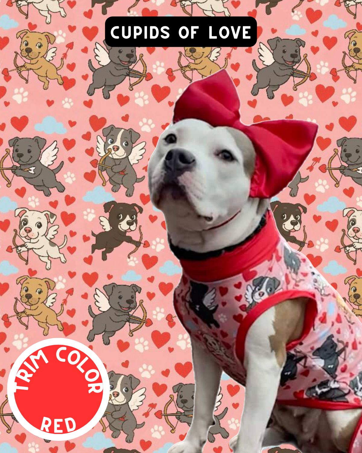 Cupids of Love Dog Pajama with Red Neck & Trim/Sleeves