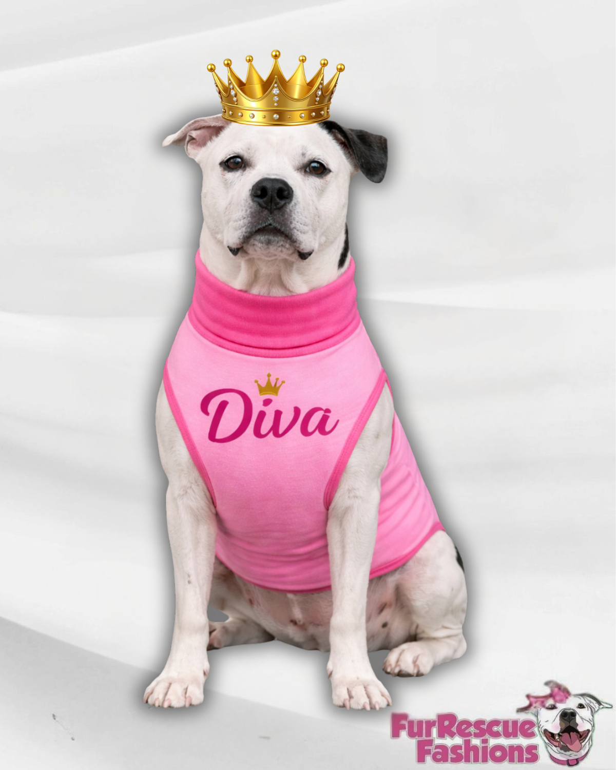 Diva Dog Shirt