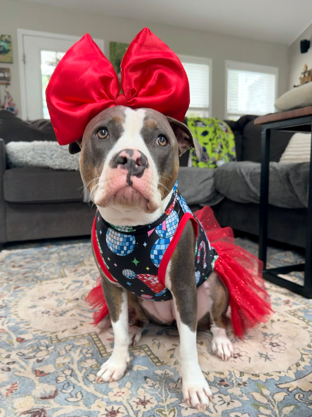 2026 Christmas Dog Tutu Dress (Available in all patterns)