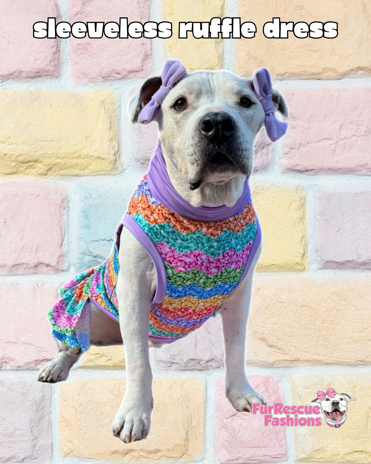 Rainbow Glitter - PAWjama with Lilac Neck & Trim/Sleeves