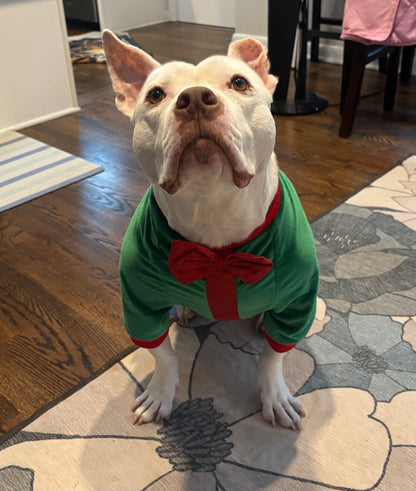 Christmas Gift Bow Dog Sweater