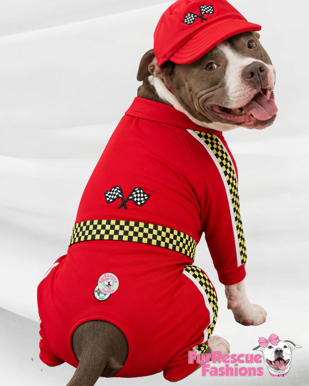 Pole Position Racing Dog Overall or Sweater With Or Without Hat