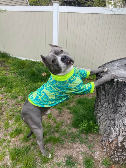 Chillin’ Chameleon - Dog Pajama with Neon Green Neck & Trim/Sleeves