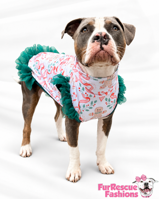2026 Christmas Dog Shirt With Tulle Accent (Available in all patterns)