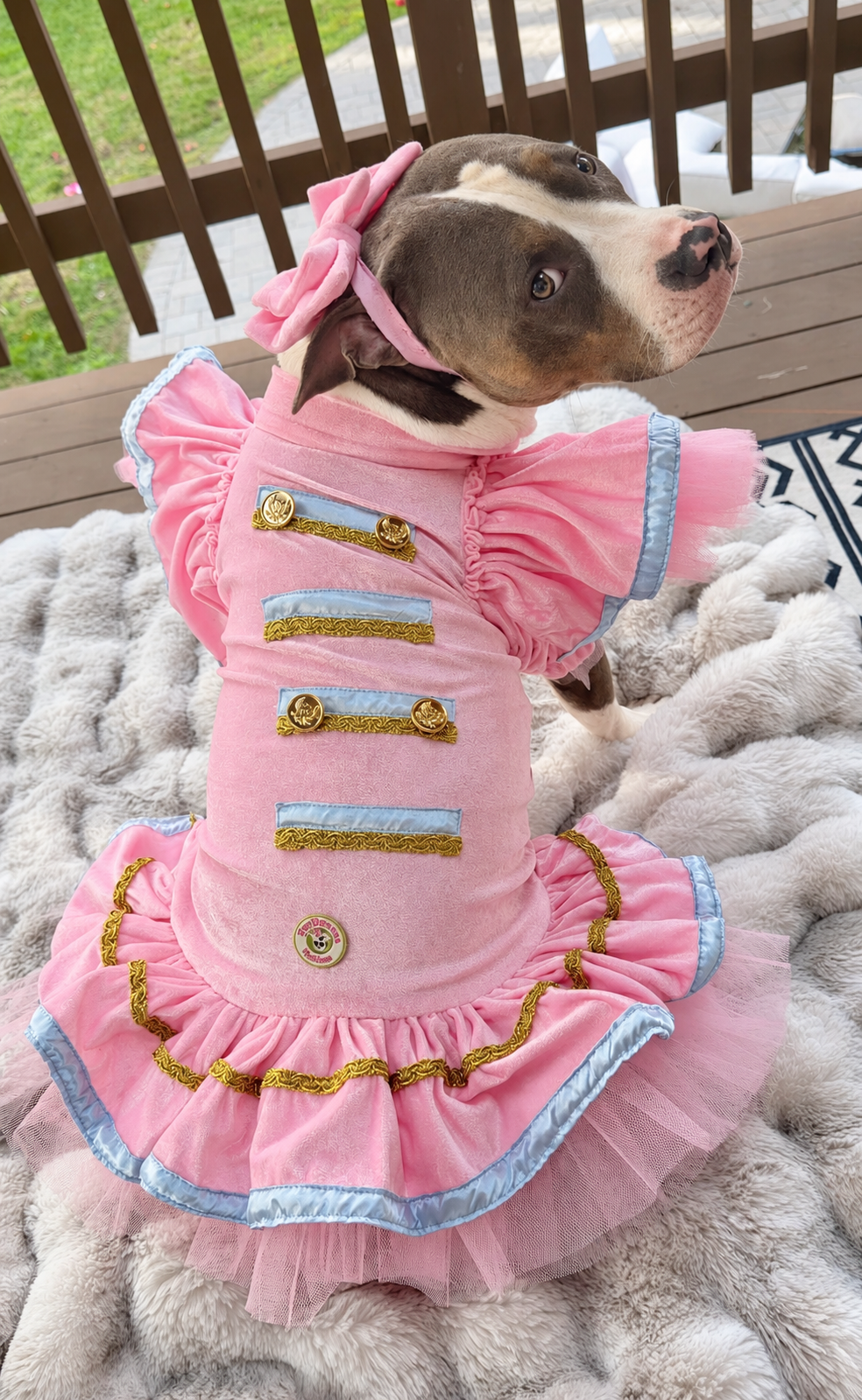 Sugar Plum Nutcracker Couture Christmas Dog Dress