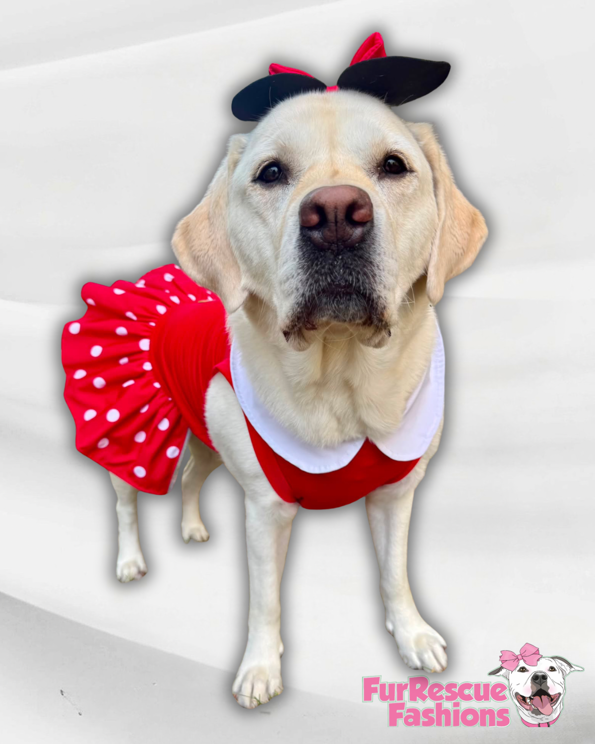 🎀 Miss Mouse – Polka Dot Dog Dress & Ears Bow
