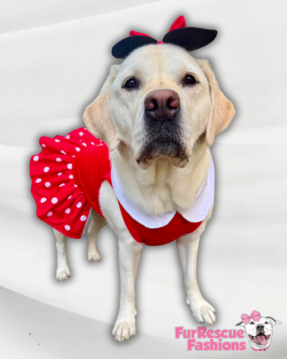 🎀 Miss Mouse – Polka Dot Dog Dress & Ears Bow