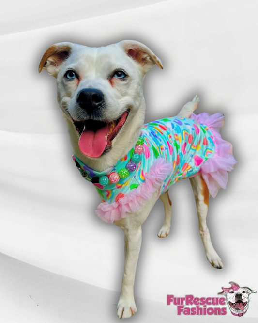 2026 St. Pawtricks & Easter Dog Shirt With Tulle Accent (Available in any pattern)