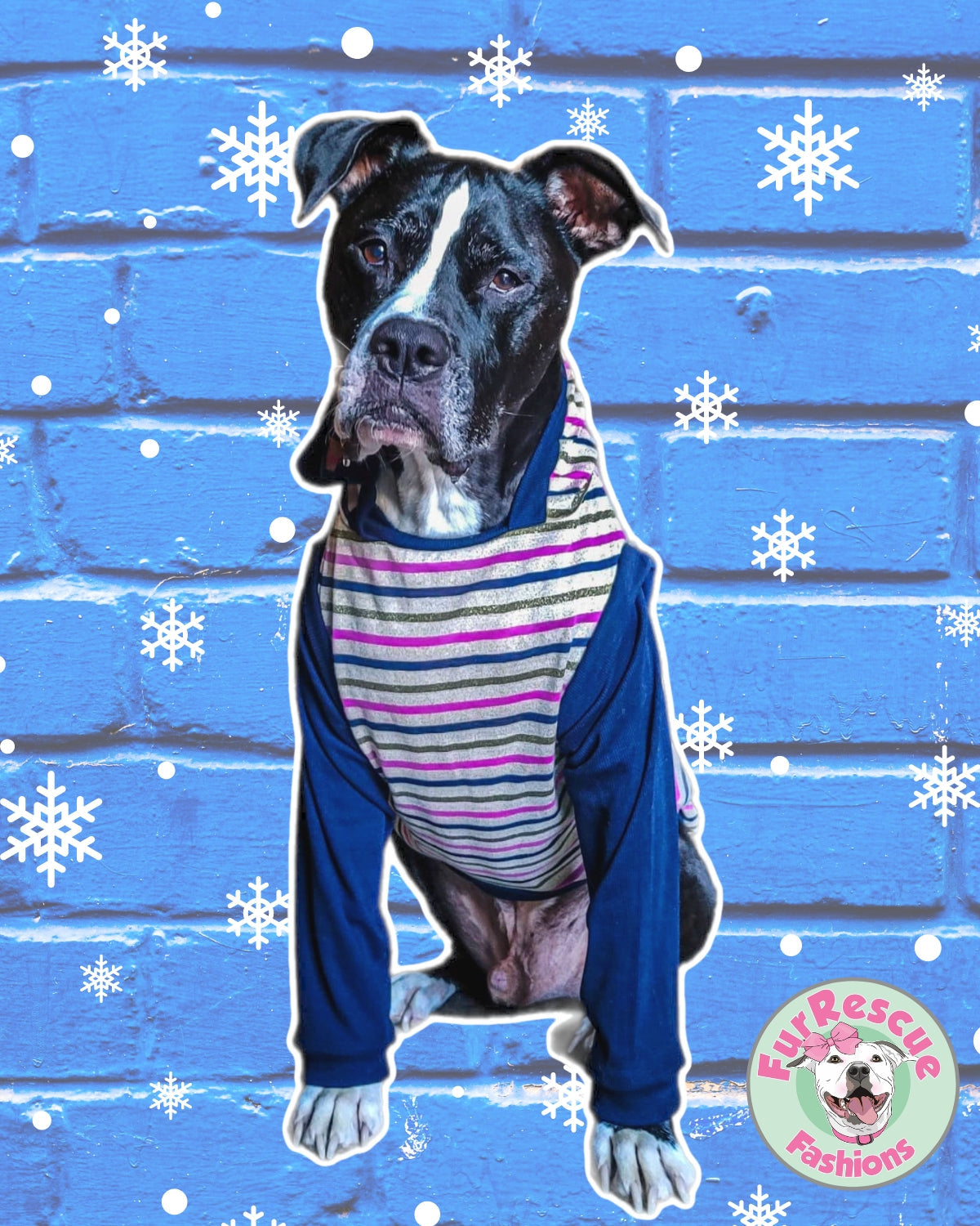 Preppy Stripes Dog & Shirt – Blue or Fuchsia