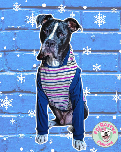 Preppy Stripes Dog & Shirt – Blue or Fuchsia