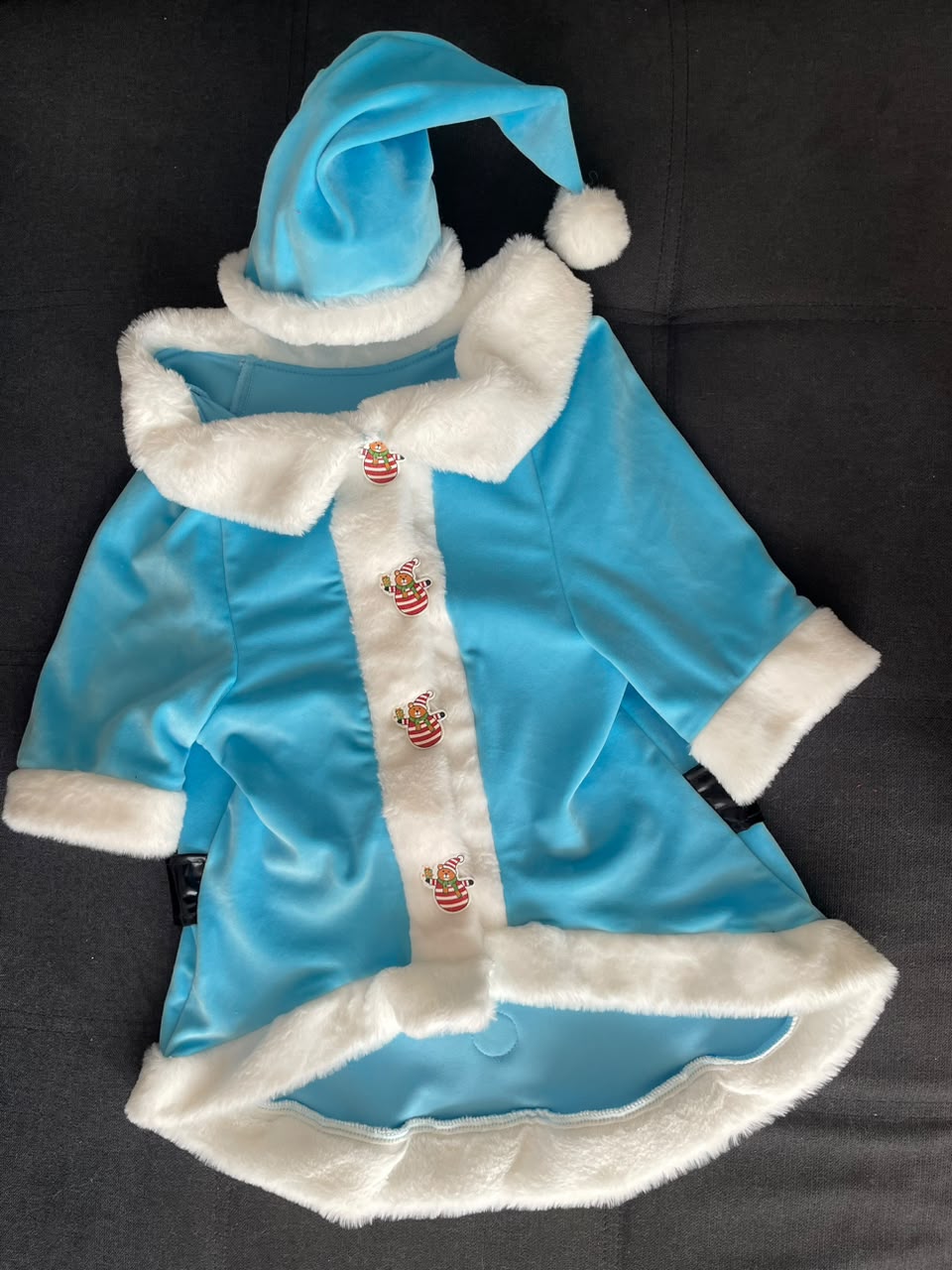 Winter Frost Santa Dog Coat
