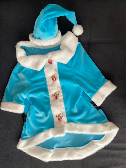 Winter Frost Santa Dog Coat
