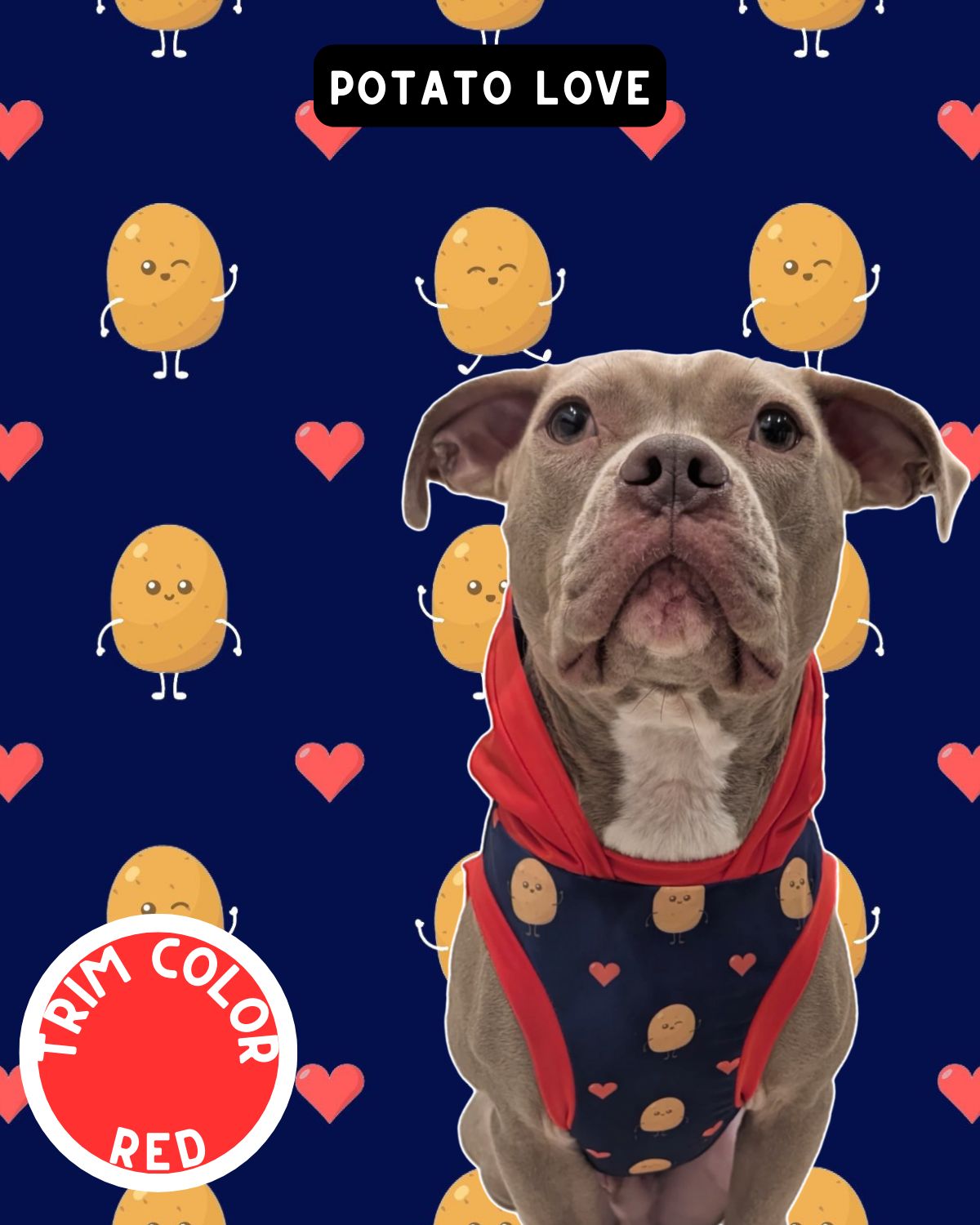 Brunch Love Fest Dog Pajama with Black Neck & Trim/Sleeves